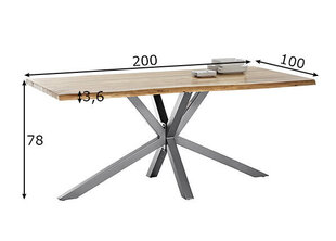 Обеденный стол Tisches 100x200 цена и информация | Кухонные и обеденные столы | hansapost.ee