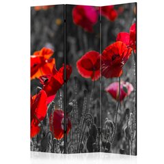 Ruumijaotur Red Poppies цена и информация | Мобильные стенки | hansapost.ee