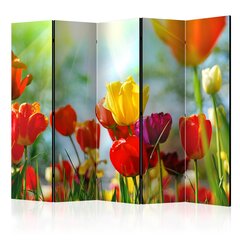 Ruumijaotur Spring Tulips II цена и информация | Мобильные стенки | hansapost.ee