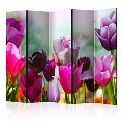 Ruumijaotur Beautiful Tulips II hind ja info | Sirmid ja vaheseinad | hansapost.ee