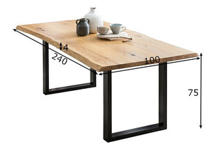 Обеденный стол 100x240 цена и информация | SalesFever Кухонная мебель | hansapost.ee