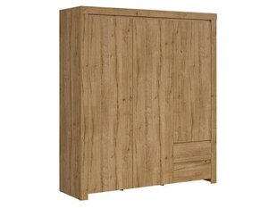 Трехдверный шкаф Holten, коричневый цена и информация | Шкафы | hansapost.ee