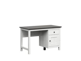 Письменный стол Hesen, белый цвет цена и информация | Компьютерные, письменные столы | hansapost.ee
