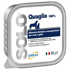DRN Solo Quaglia с перепелкой, 300 г цена и информация | Консервы для собак | hansapost.ee