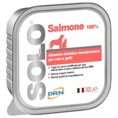 DRN Solo Salmonesu лосось, 300 г цена и информация | Консервы для собак | hansapost.ee