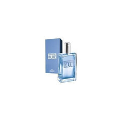 Туалетная вода Avon Individual Blue For Him, 100 мл цена и информация | Мужские духи | hansapost.ee