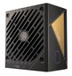 Cooler Master V750 Gold I Multi цена и информация | Toiteplokid | hansapost.ee