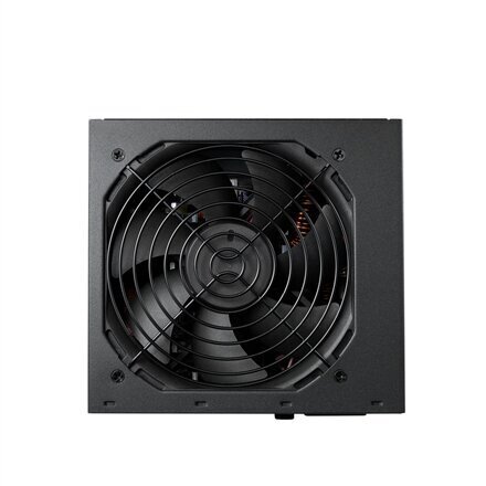 FSP Hydro K PRO 850W цена и информация | Toiteplokid | hansapost.ee