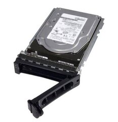 Dell 400-AMUI цена и информация | Внутренние жёсткие диски (HDD, SSD, Hybrid) | hansapost.ee