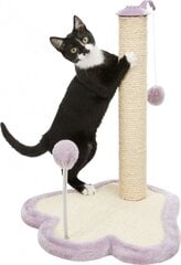 Когтеточка для кошек на подставке Trixie Junior, 40x38x50 см цена и информация | Когтеточки | hansapost.ee