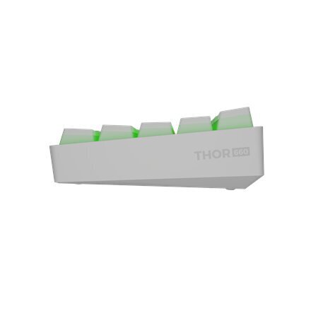 Genesis Thor 660 RGB hind ja info | Klaviatuurid | hansapost.ee