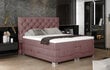 Elektriline voodi NORE Clover 14, 160x200, roosa цена и информация | Voodid | hansapost.ee