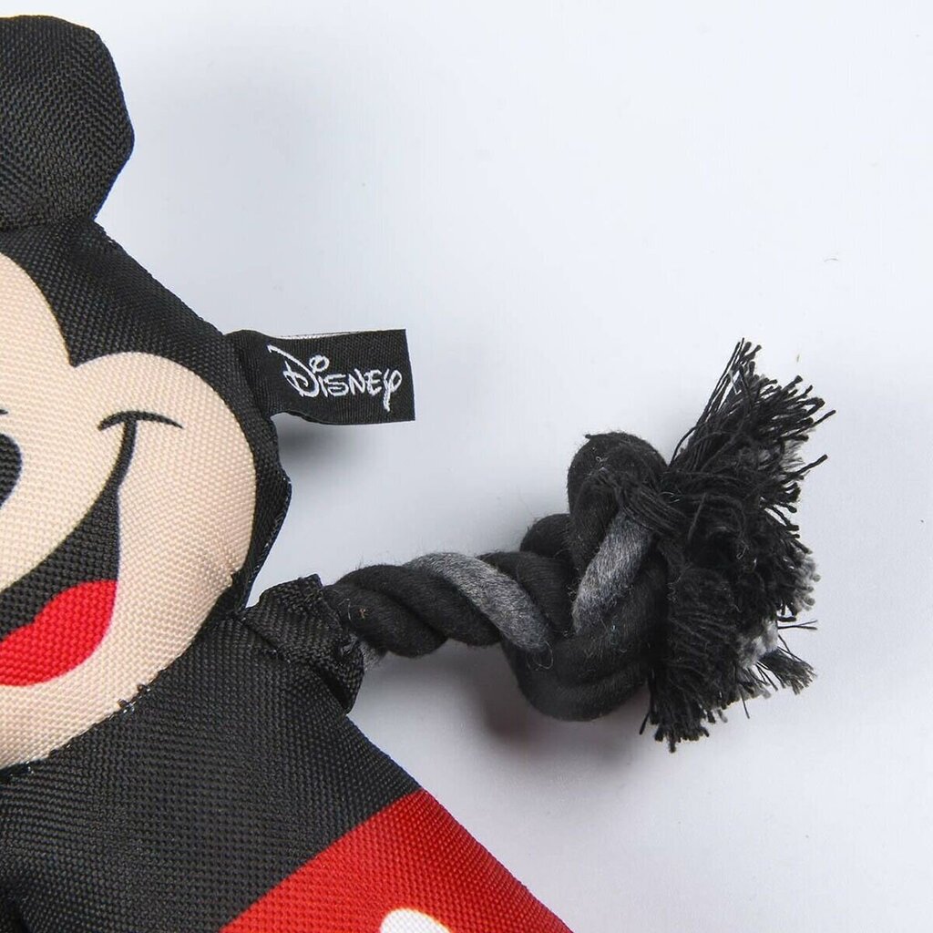 Köiega mänguasi Mickey Mouse, 13x26x8 cm hind ja info | Koerte mänguasjad | hansapost.ee