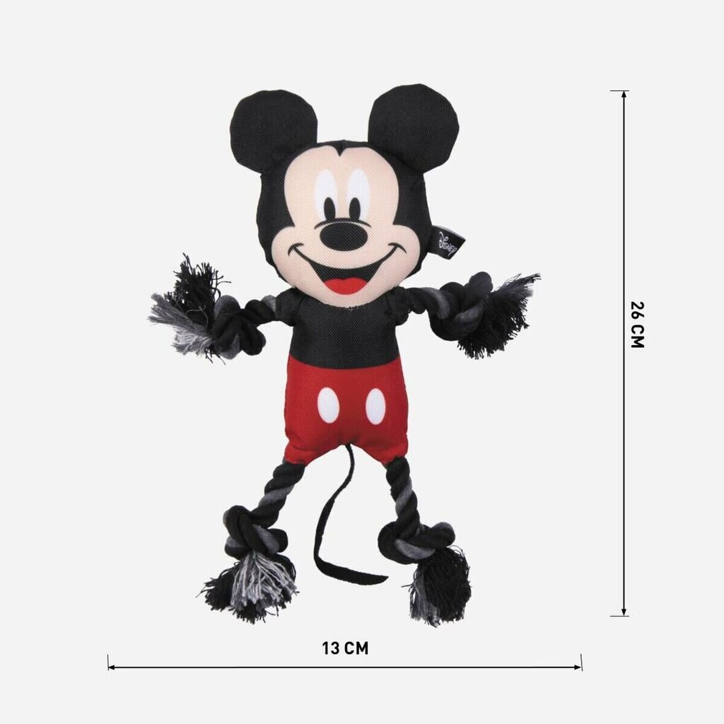 Köiega mänguasi Mickey Mouse, 13x26x8 cm цена и информация | Koerte mänguasjad | hansapost.ee