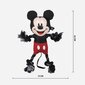 Köiega mänguasi Mickey Mouse, 13x26x8 cm цена и информация | Koerte mänguasjad | hansapost.ee