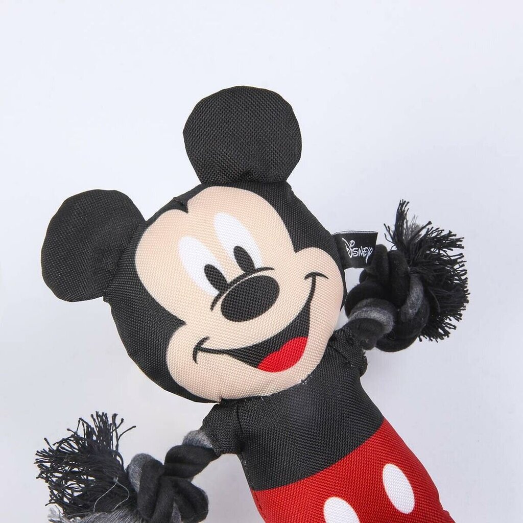 Köiega mänguasi Mickey Mouse, 13x26x8 cm цена и информация | Koerte mänguasjad | hansapost.ee