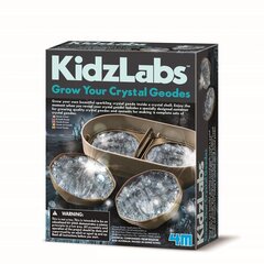 Выращивание кристаллов жеод / 4М цена и информация | Развивающие игрушки для детей | hansapost.ee