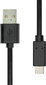 Fujtech USB-C - USB-A, 1 m цена и информация | Juhtmed ja kaablid | hansapost.ee