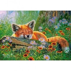 Мозаика с лисой Castorland Foxy Dreams, 500 эл. цена и информация | Пазлы | hansapost.ee