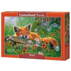 Мозаика с лисой Castorland Foxy Dreams, 500 эл. цена и информация | Пазлы | hansapost.ee