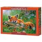 Pusle rebasega Castorland Foxy Dreams, 500 tk. цена и информация | Pusled lastele ja täiskasvanutele | hansapost.ee