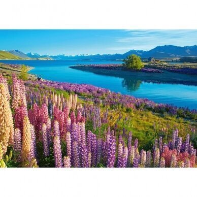 Pusle Castorland Lake Tekapo New Zealand, 500 tk. цена и информация | Pusled lastele ja täiskasvanutele | hansapost.ee