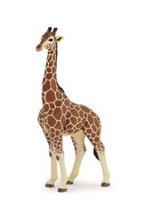 Фигурка Papo жирафа цена и информация | Развивающие игрушки для детей | hansapost.ee