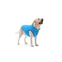 Куртка для собаки AiryVest, разные размеры, синий цвет цена и информация | Одежда для собак | hansapost.ee