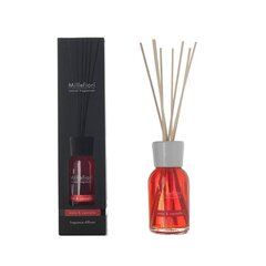 Lõhnapulgad Millefiori Natural Fragrance Mela & Cannella 250 ml hind ja info | Millefiori Parfüümid, lõhnad ja kosmeetika | hansapost.ee