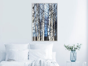 Seinapilt Winter Birch Trees hind ja info | Seinapildid | hansapost.ee