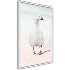 Плакат Walking Goose цена и информация | Картины, живопись | hansapost.ee