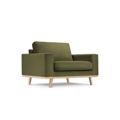Кресло Tugela, 121x93x83 см, зеленый цвет цена и информация | Кресла | hansapost.ee