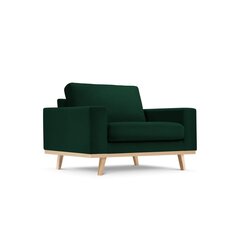 Кресло Tugela, 121х93х83 см, темно-зеленый цвет цена и информация | Кресла | hansapost.ee