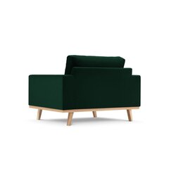 Кресло Tugela, 121х93х83 см, темно-зеленый цвет цена и информация | Кресла | hansapost.ee