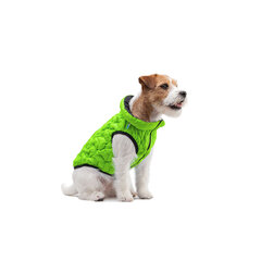 Куртка для собаки AiryVest, разные размеры, зеленый цвет цена и информация | Одежда для собак | hansapost.ee