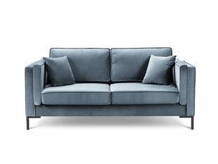 Двухместный бархатный диван Milo Casa Luis, светло-синий цена и информация | Диваны | hansapost.ee