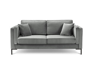 Двухместный бархатный диван Milo Casa Luis, светло-серый цена и информация | Диваны | hansapost.ee