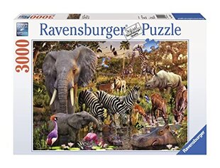 Pusle Ravensburger Aafrika mandri loomad, 3000 tk hind ja info | Pusled lastele ja täiskasvanutele | hansapost.ee