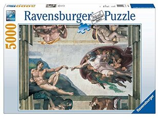 Пазл Ravensburger Michelangelo, 5000 дет. цена и информация | Пазлы | hansapost.ee