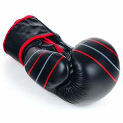 Боксерские перчатки Ring Profi (RR-10) 10 oz, черные цена и информация | Бокс | hansapost.ee