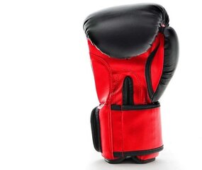 Боксерские перчатки Ring Sport Fire, красные цена и информация | Бокс | hansapost.ee