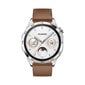 Huawei Watch GT 4 Brown Leather hind ja info | Nutikellad, laste nutikellad | hansapost.ee