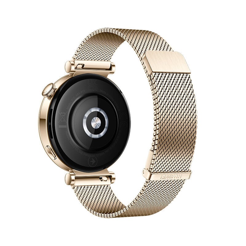 Huawei Watch GT 4 41mm Gold Milanese 55020BJA цена и информация | Nutikellad, laste nutikellad | hansapost.ee