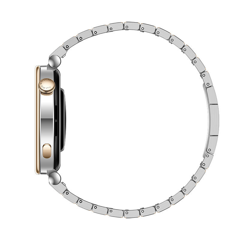 Huawei Watch GT 4 Silver Stainless Steel hind ja info | Nutikellad, laste nutikellad | hansapost.ee