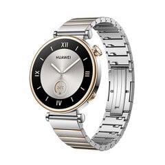 Huawei Watch GT 4 Silver Stainless Steel цена и информация | Смарт-часы | hansapost.ee