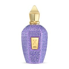 Парфюмерия унисекс Xerjoff EDP V Purple Accento (100 ml) цена и информация | Женские духи | hansapost.ee