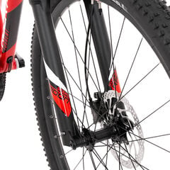 Горный велосипед Rock Machine 29 Torrent 70-29, красный, L цена и информация | Велосипеды | hansapost.ee