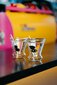 Vialli Design martiniklaaside komplekt Soho, 2-osaline цена и информация | Klaasid, kruusid ja kannud | hansapost.ee
