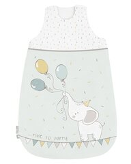 Детский спальный мешок Kikka Boo, 0-6 месяцев, Elephant Time цена и информация | Детские подушки, конверты, спальники | hansapost.ee