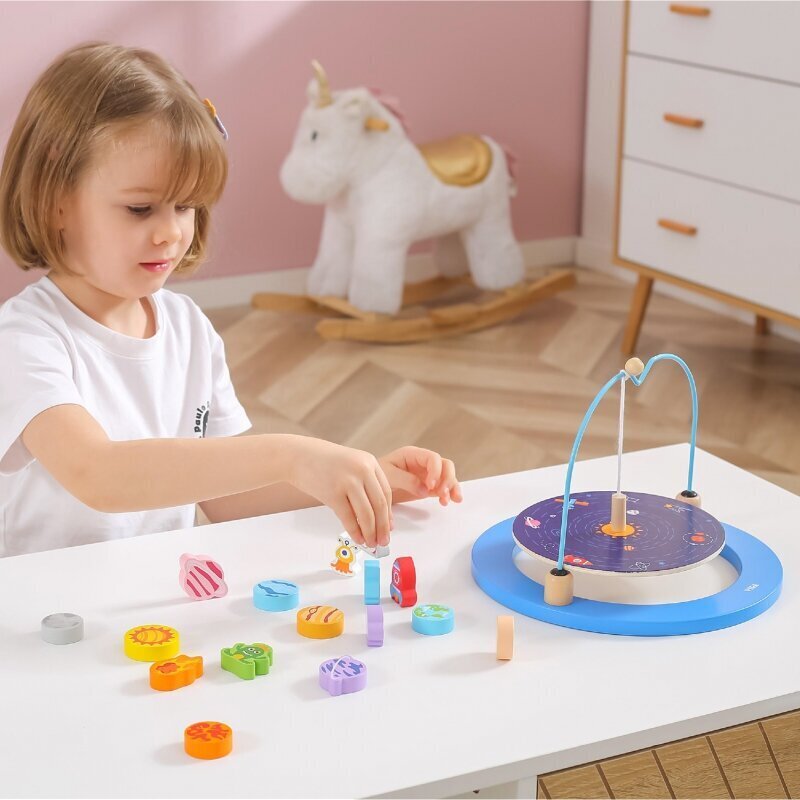 VIGA Puidust ppemng Balance Cosmos hind ja info | Arendavad laste mänguasjad | hansapost.ee